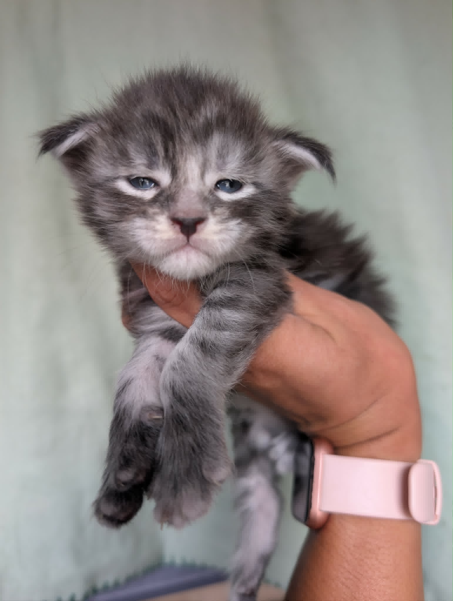 Photo de Black Jack
